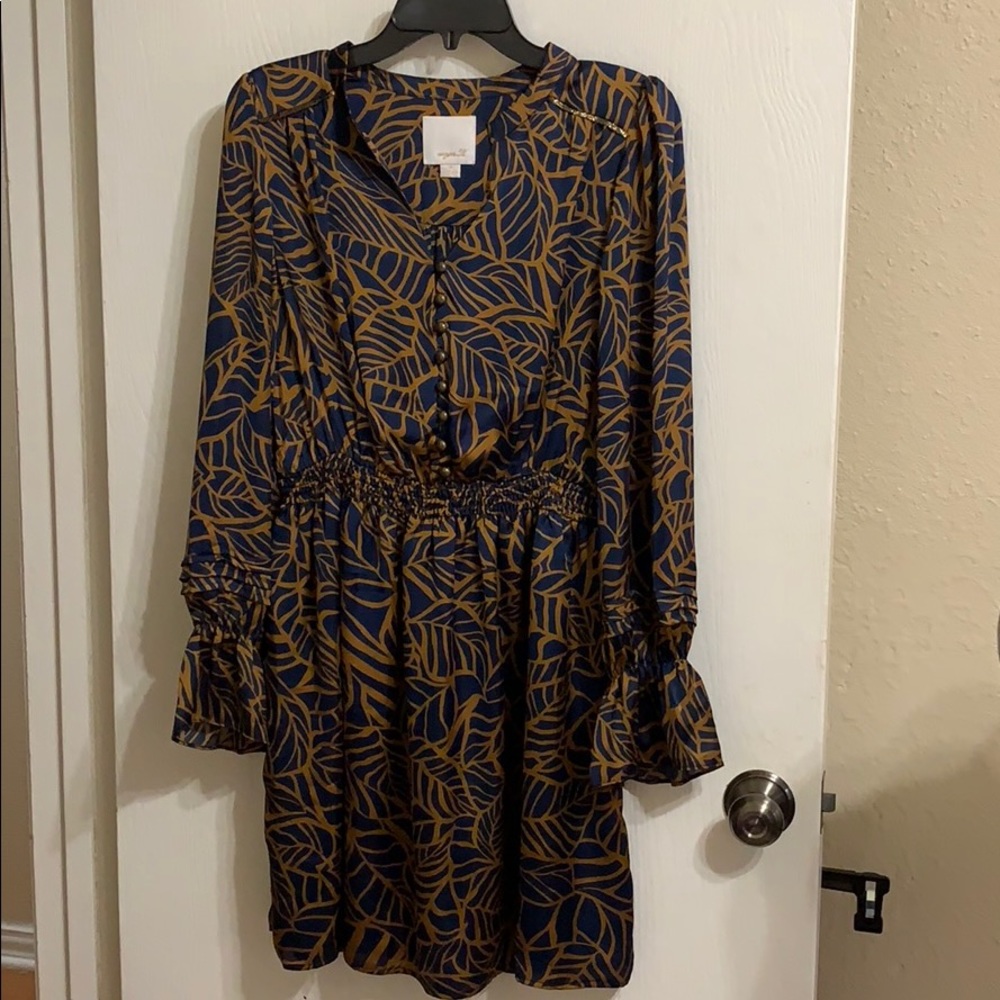 Fancy Silk Dress